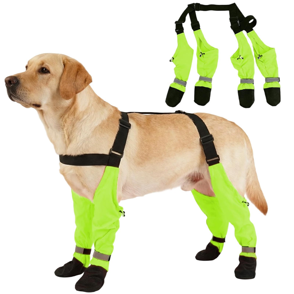 AuraPaw: Bottes suspendues pour chien étanches et réfléchissantes pour promenades quotidiennes.