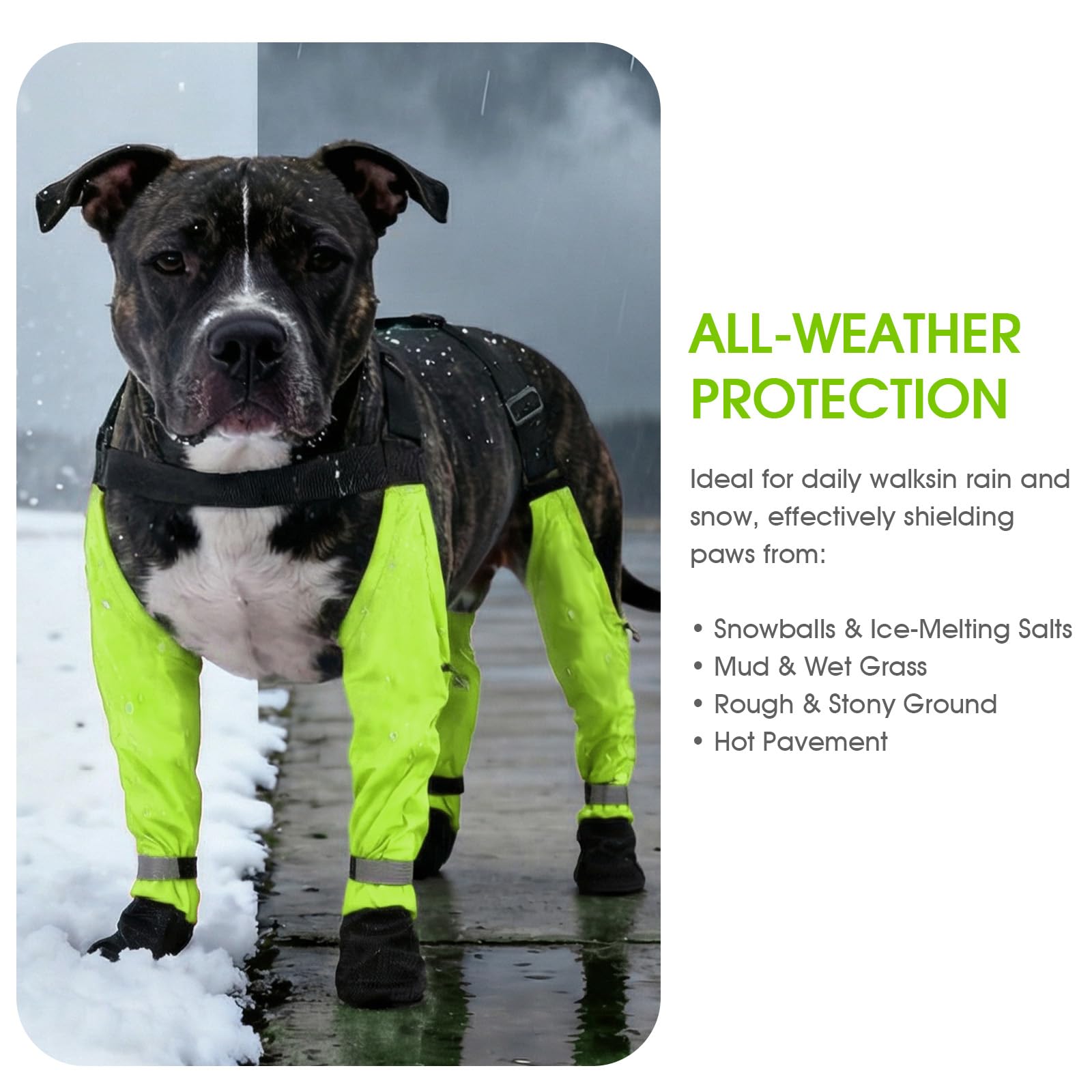 AuraPaw: Taille XL pour un ajustement fiable sur les grands chiens.