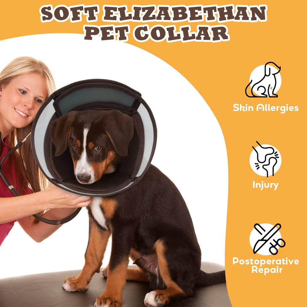 AuraPaw Cône Chien Nettoyage facile — surface simple à essuyer.