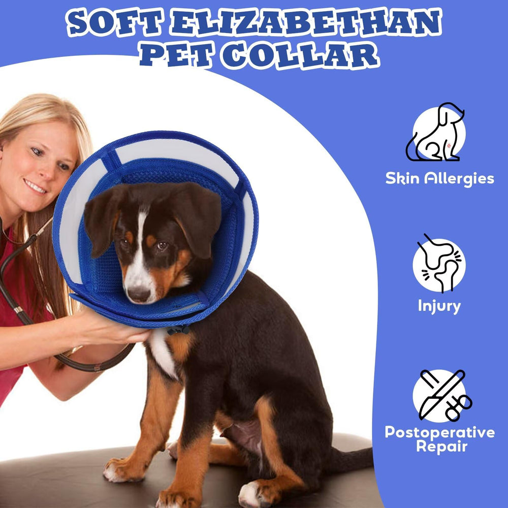AuraPaw cône pratique pour déplacements et voyages propres.