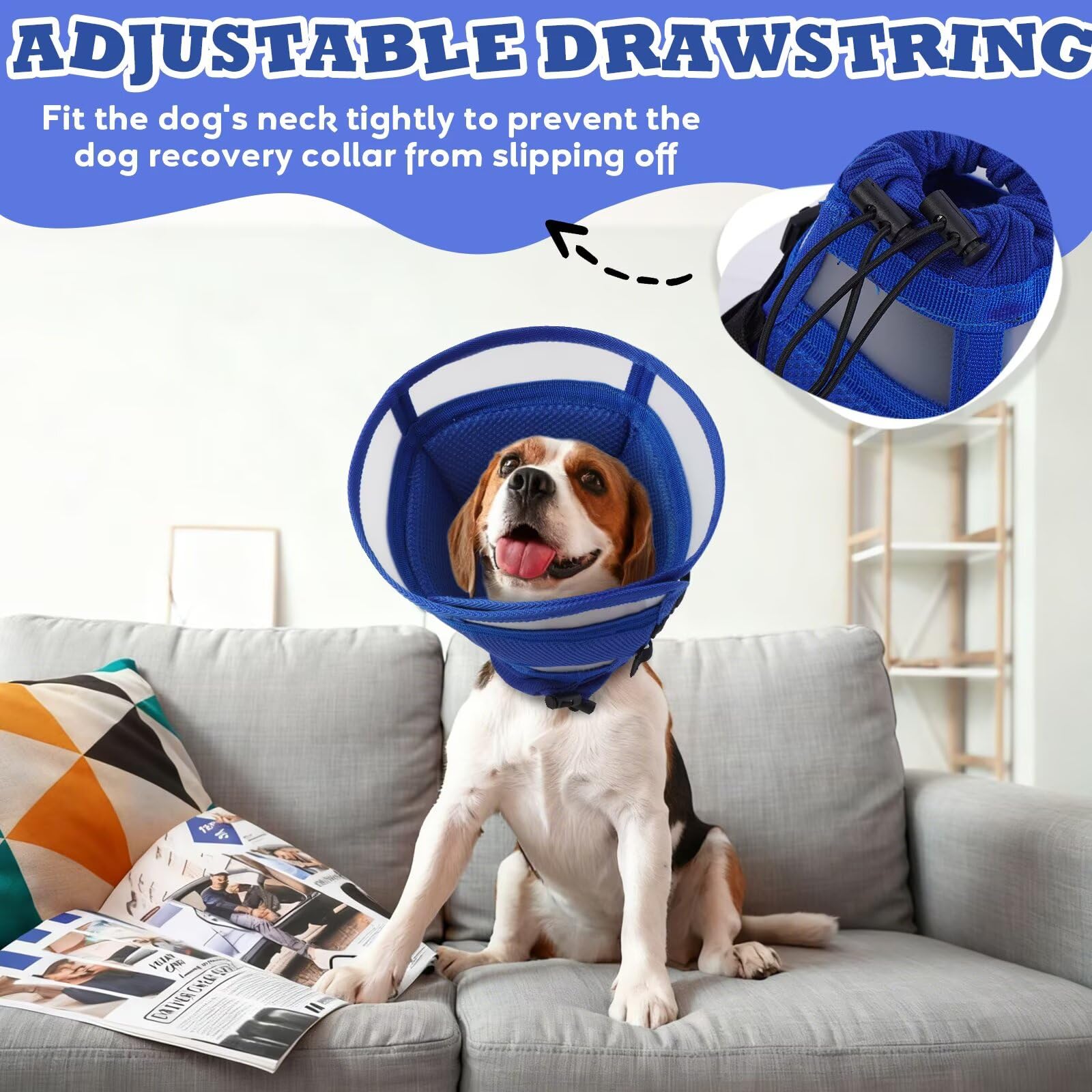 AuraPaw cône tailles SXL, adaptateur pour toutes les tailles de chien.
