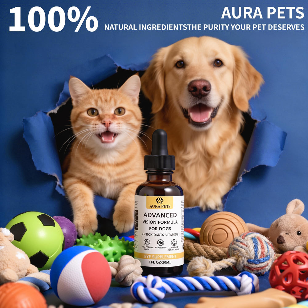 Aura Pets visuels plus clairs pour chiens actifs.