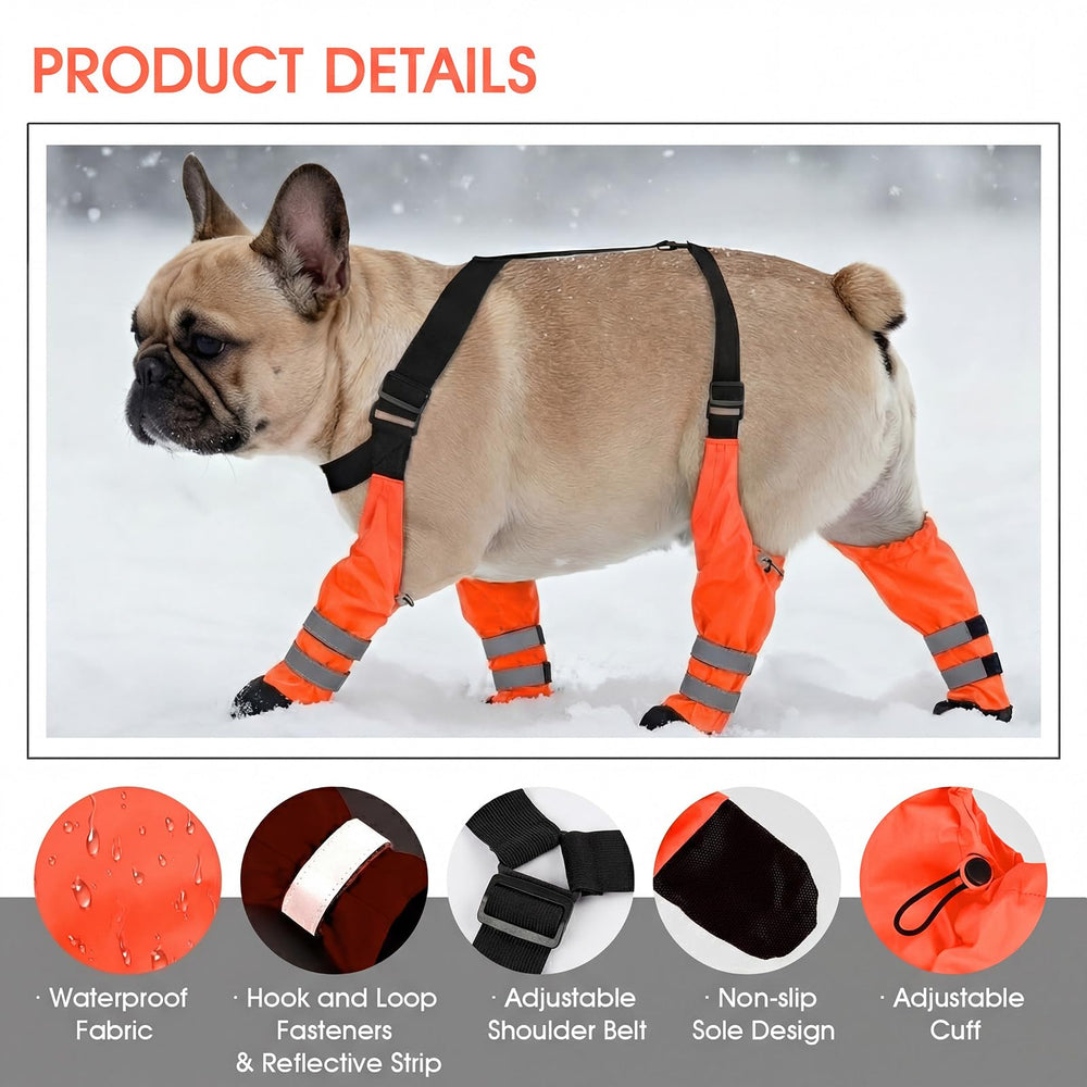 AuraPaw utilisation quotidienne sous pluie et neige pour protéger les pattes.