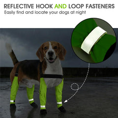 AuraPaw semelle antidérapante assure stabilité sur surfaces mouillées