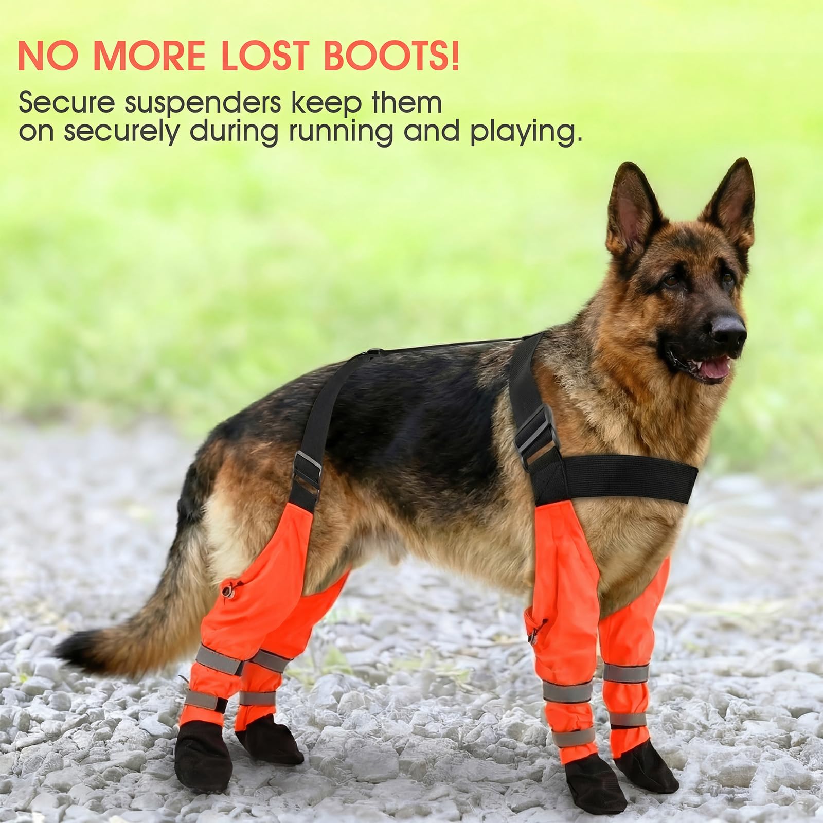 AuraPaw bottes taille XL adaptées aux grands chiens pour un ajustement fiable.