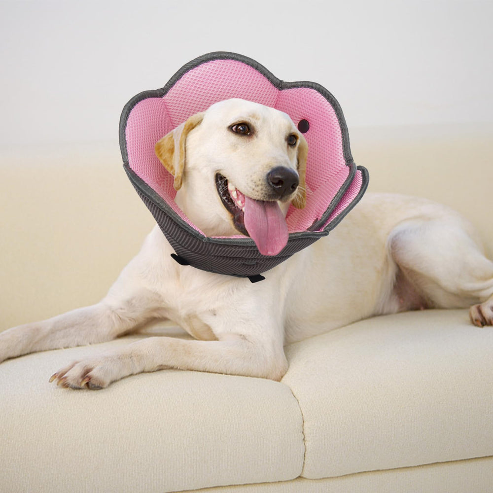 AuraPaw cone nettoyage facile, entretien rapide et simple.