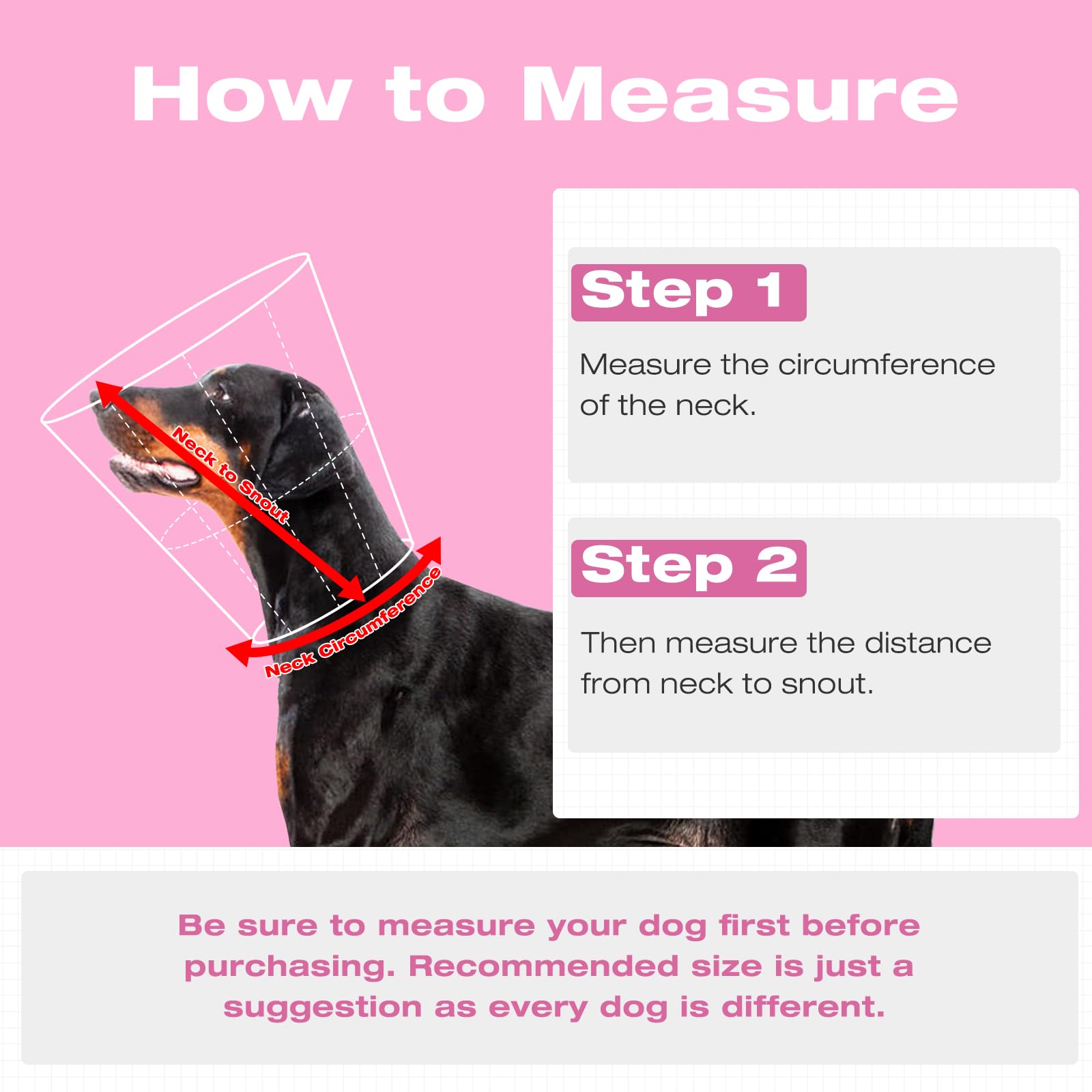 AuraPaw cone pliable et portable, pratique en déplacement.