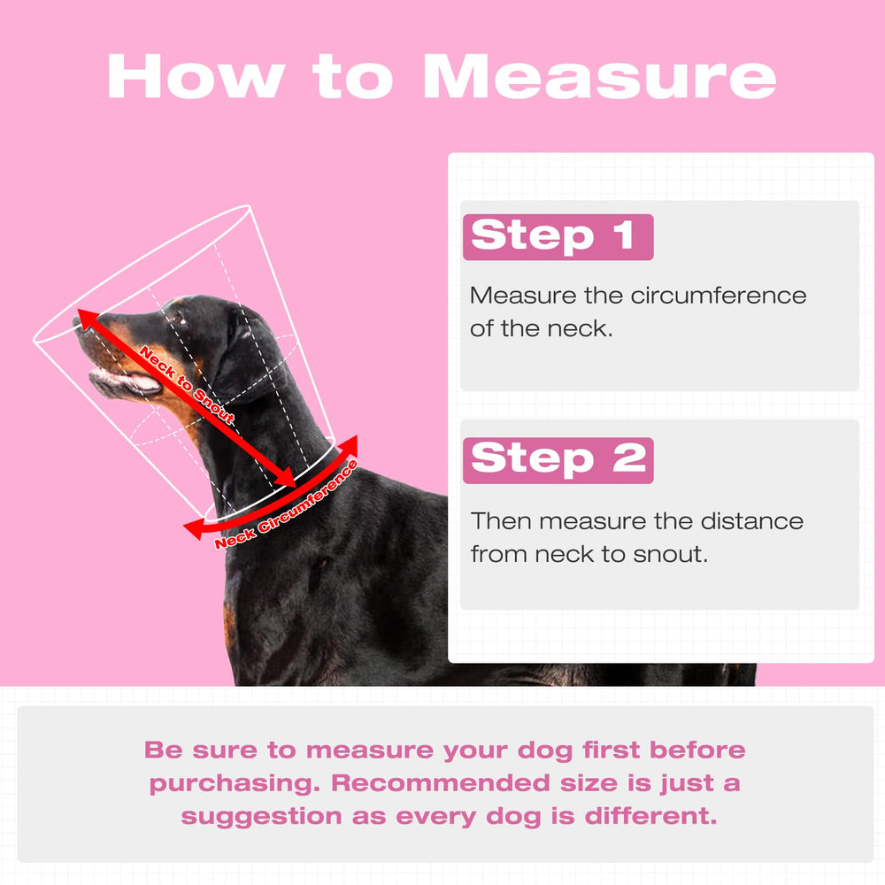 AuraPaw cone pliable et portable, pratique en déplacement.