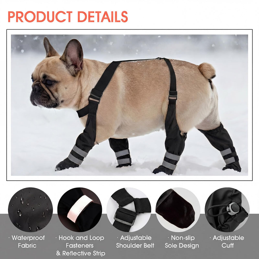 AuraPaw-guide-tailles-xs aide a choisir des bottes adaptees pour les petits chiens