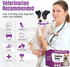 Collier 25 pouces réglable, adapté à toutes les tailles de chien.