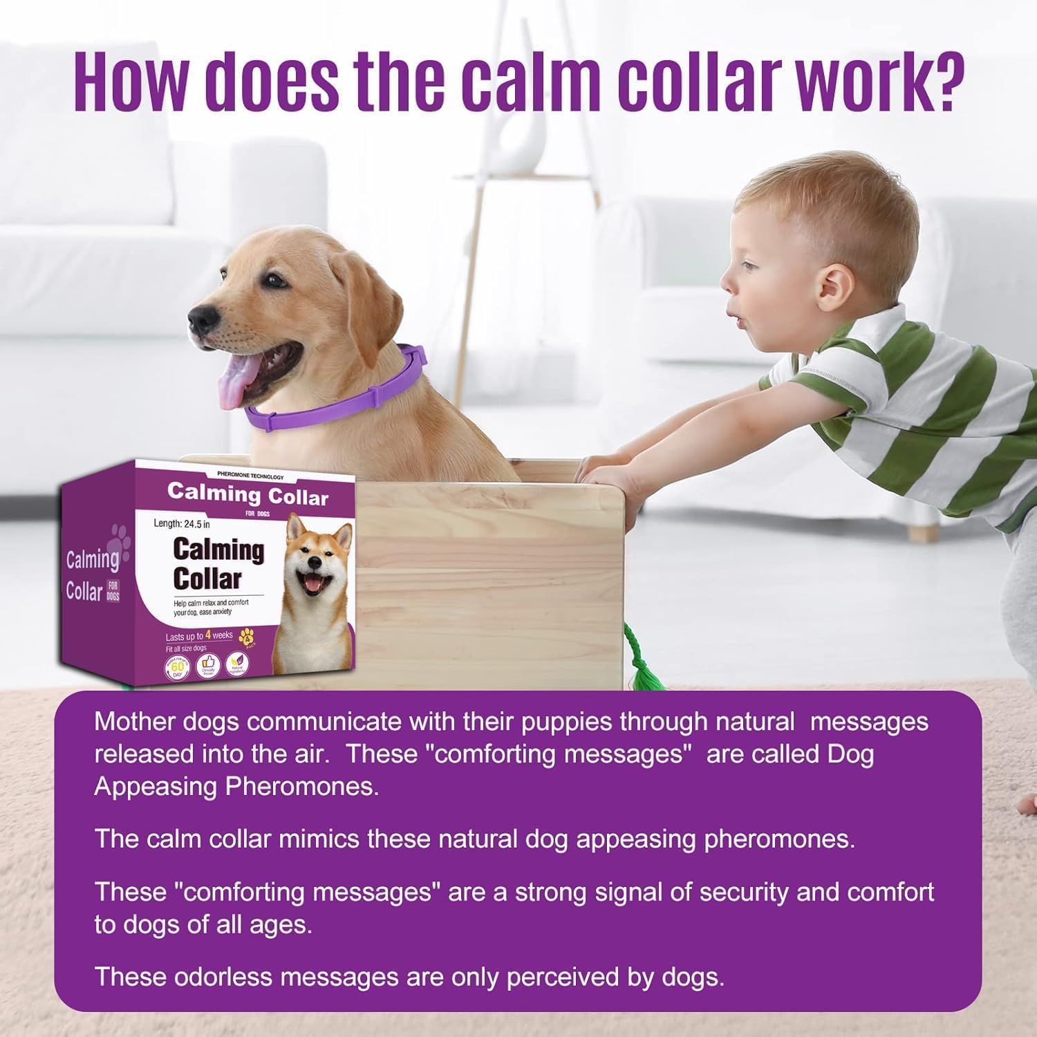 Durée continue de 60 jours, solution pratique pour chiens actifs.