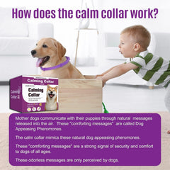 Durée continue de 60 jours, solution pratique pour chiens actifs.