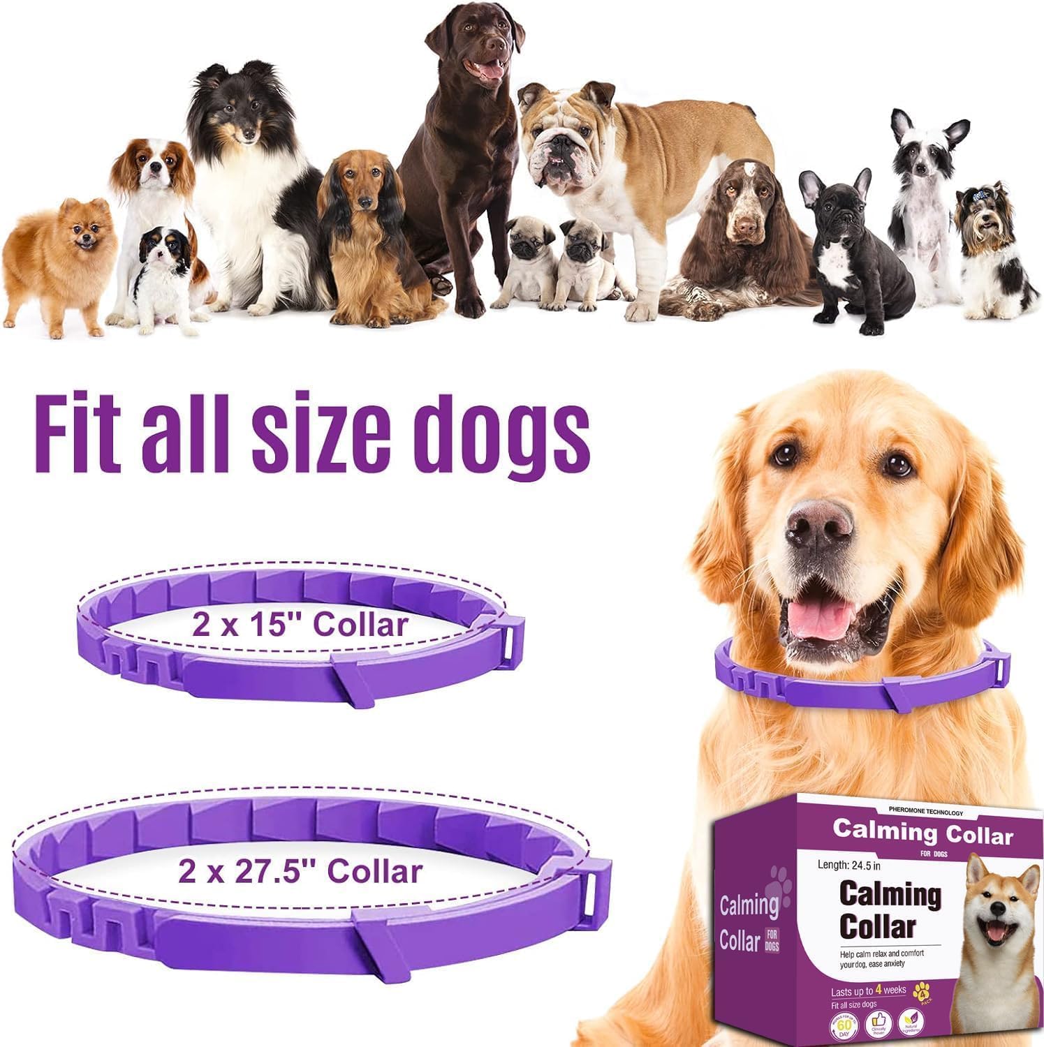 Idéal pour foyers multi-chiens ou voyages fréquents.