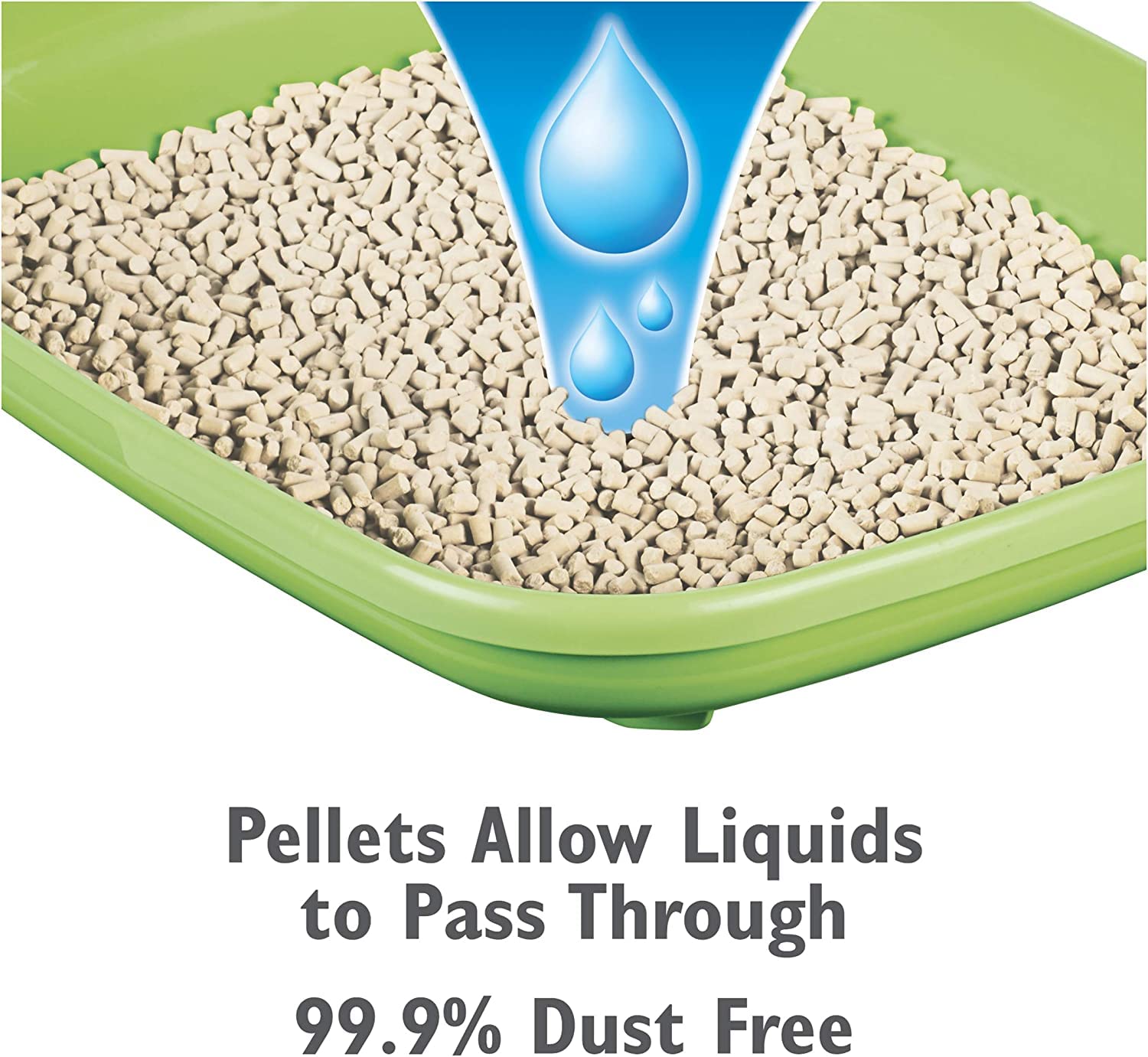 Aurora Pet Breeze galets-litière 99,9% poussière zéro, intérieur net.
