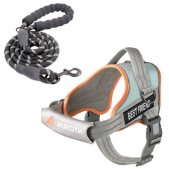 AUROTH ensemble harnais et laisse pour chien, pratique et sans tirage
