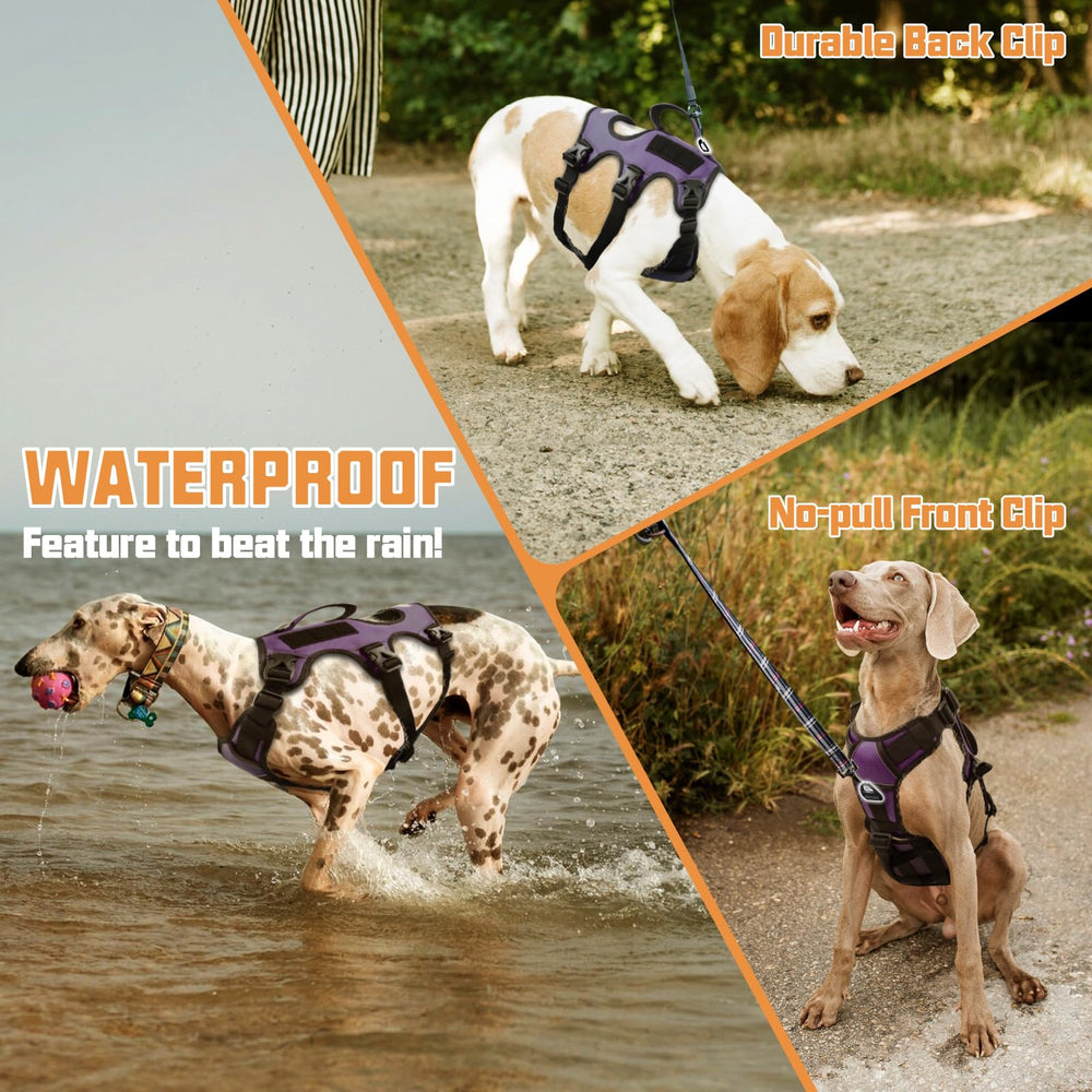 AUROTH harnais chien avec garnissage en éponge pour un port doux et confortable.