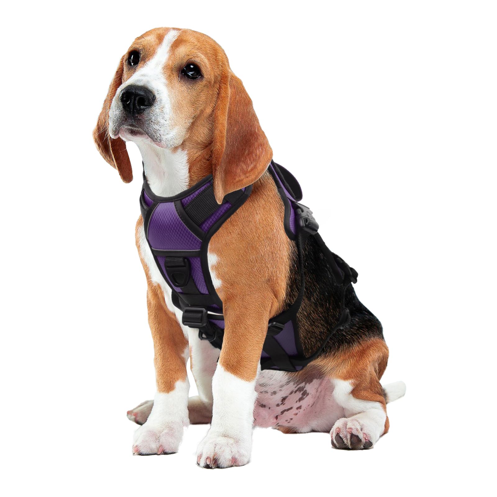AUROTH harnais avec poignée arrière renforcée pour guider votre chien.