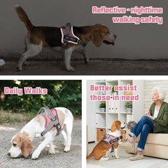 AUROTH harnais chien réflectif sécurité nocturne pour meilleure visibilité.
