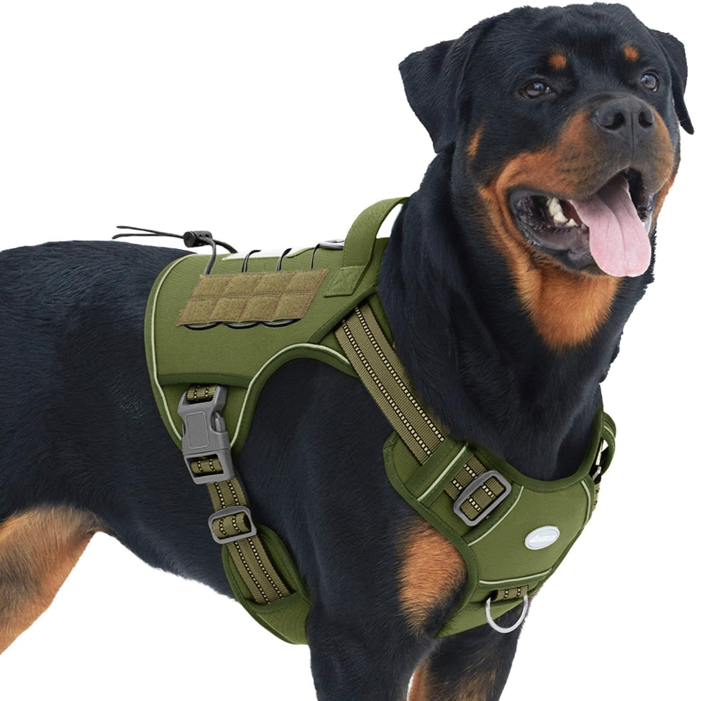 AUROTH harnais prêt pour activités extérieures et services canins.