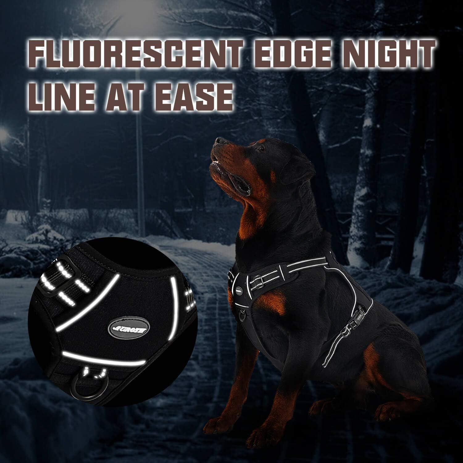 AUROTH harnais avec badge d'identification BEST FRIEND pour chien.