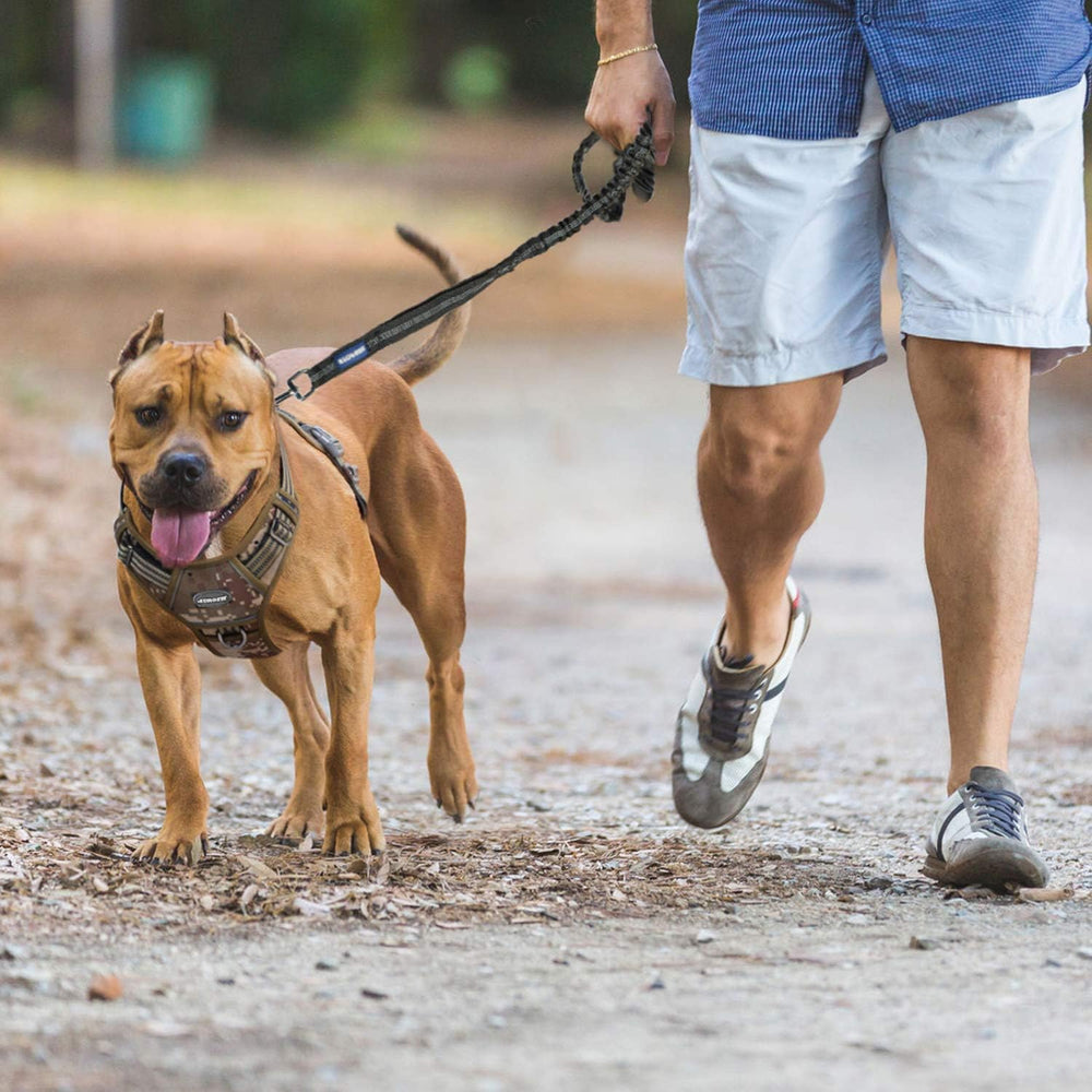 AUROTH Harnais Chien Tactique Détails, finitions solides et sécurité au quotidien.