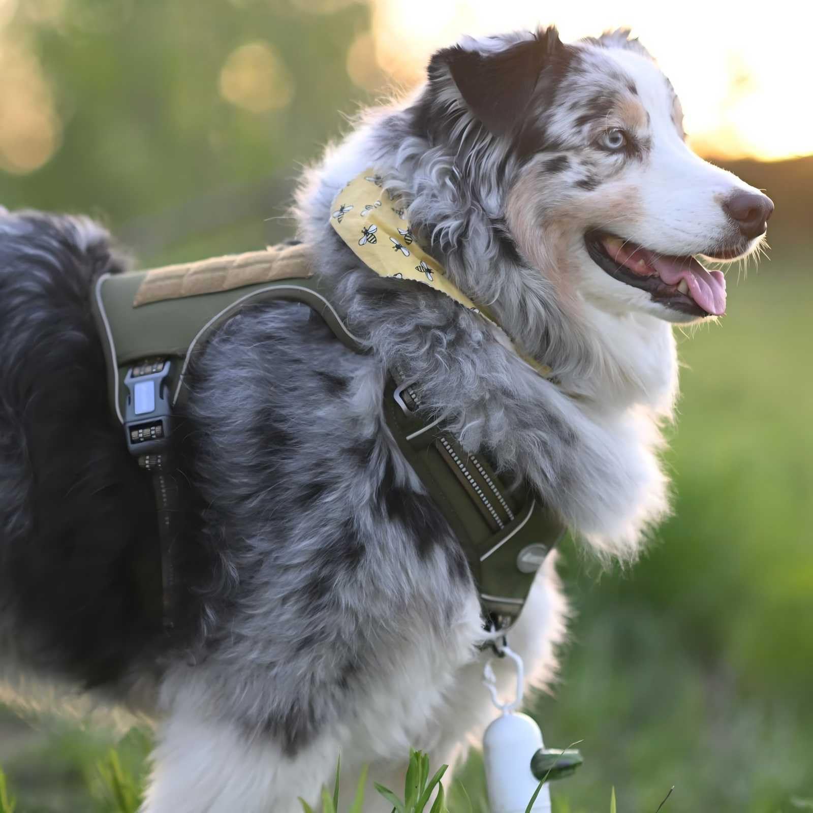 AUROTH harnais compatible patches et sangles MOLLE pour accessoires.