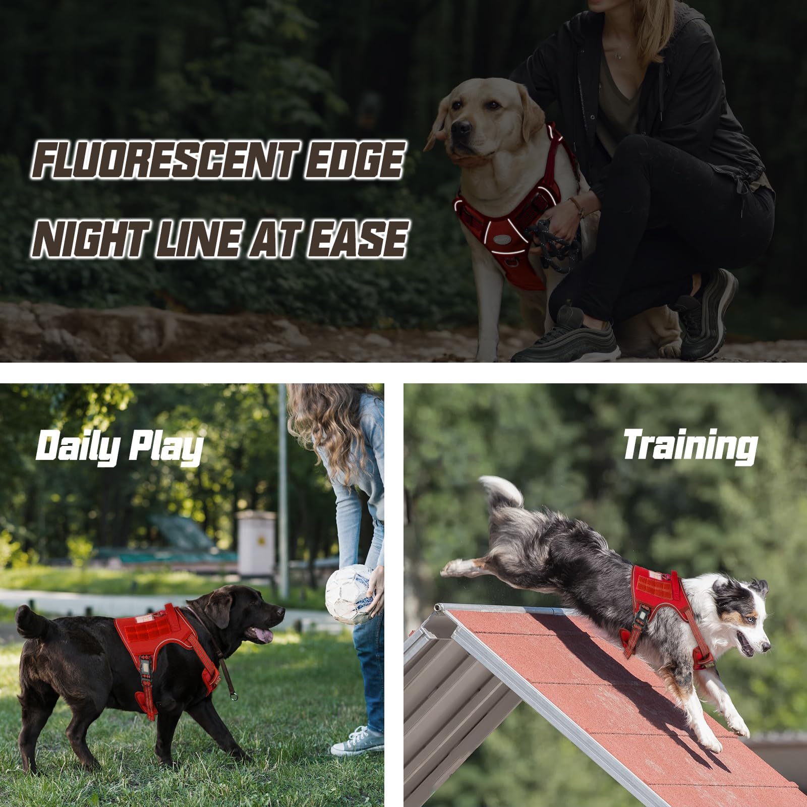 AUROTH harnais-tactique-badge-identification identifie clairement le chien lors des sorties.