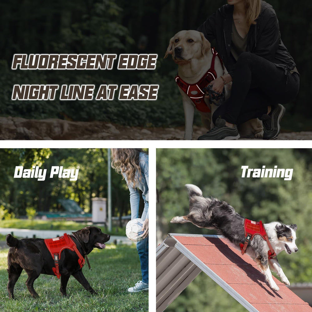AUROTH harnais-tactique-badge-identification identifie clairement le chien lors des sorties.