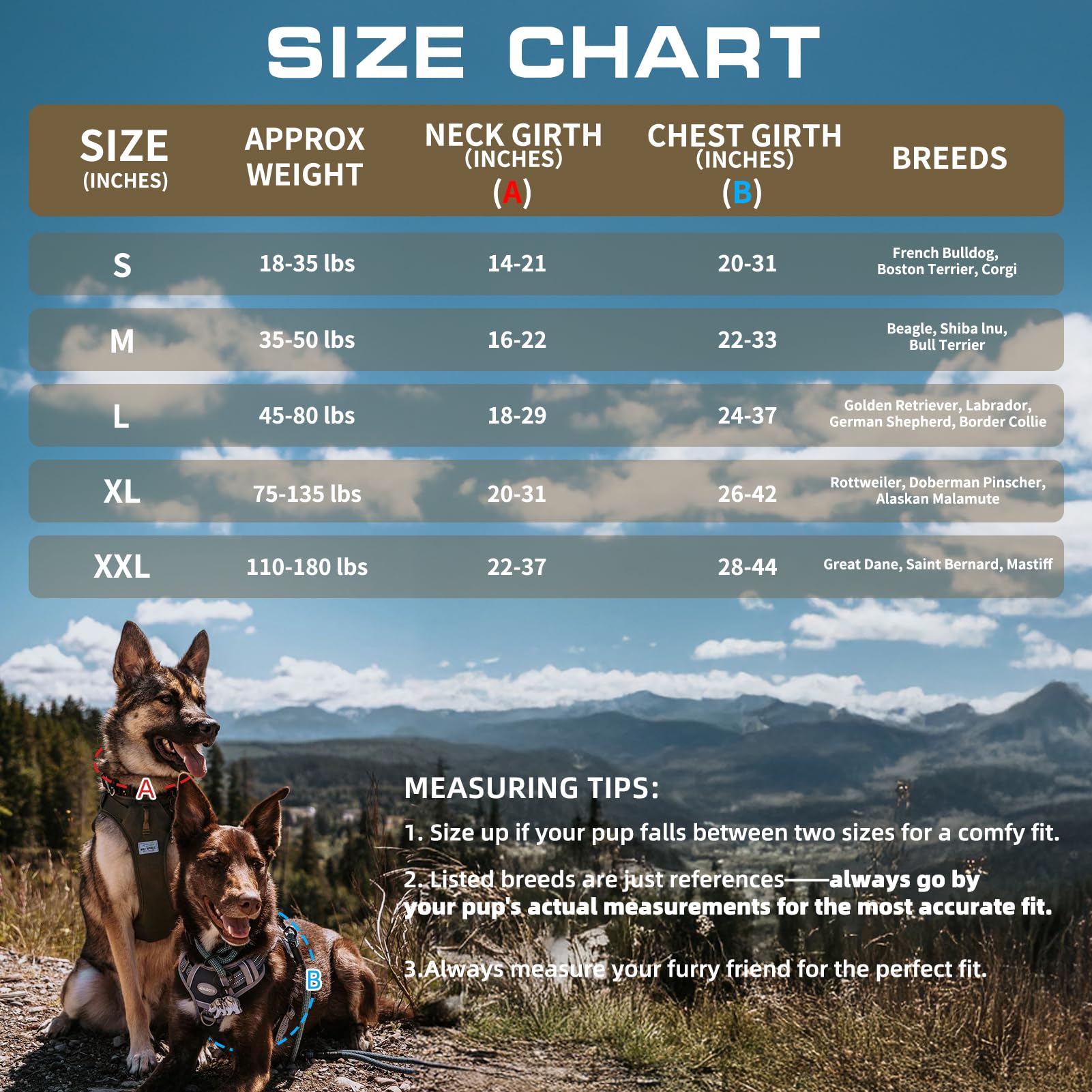 AUROTH Harnais tactique chien grande taille, guide des tailles pour un ajustement précis.
