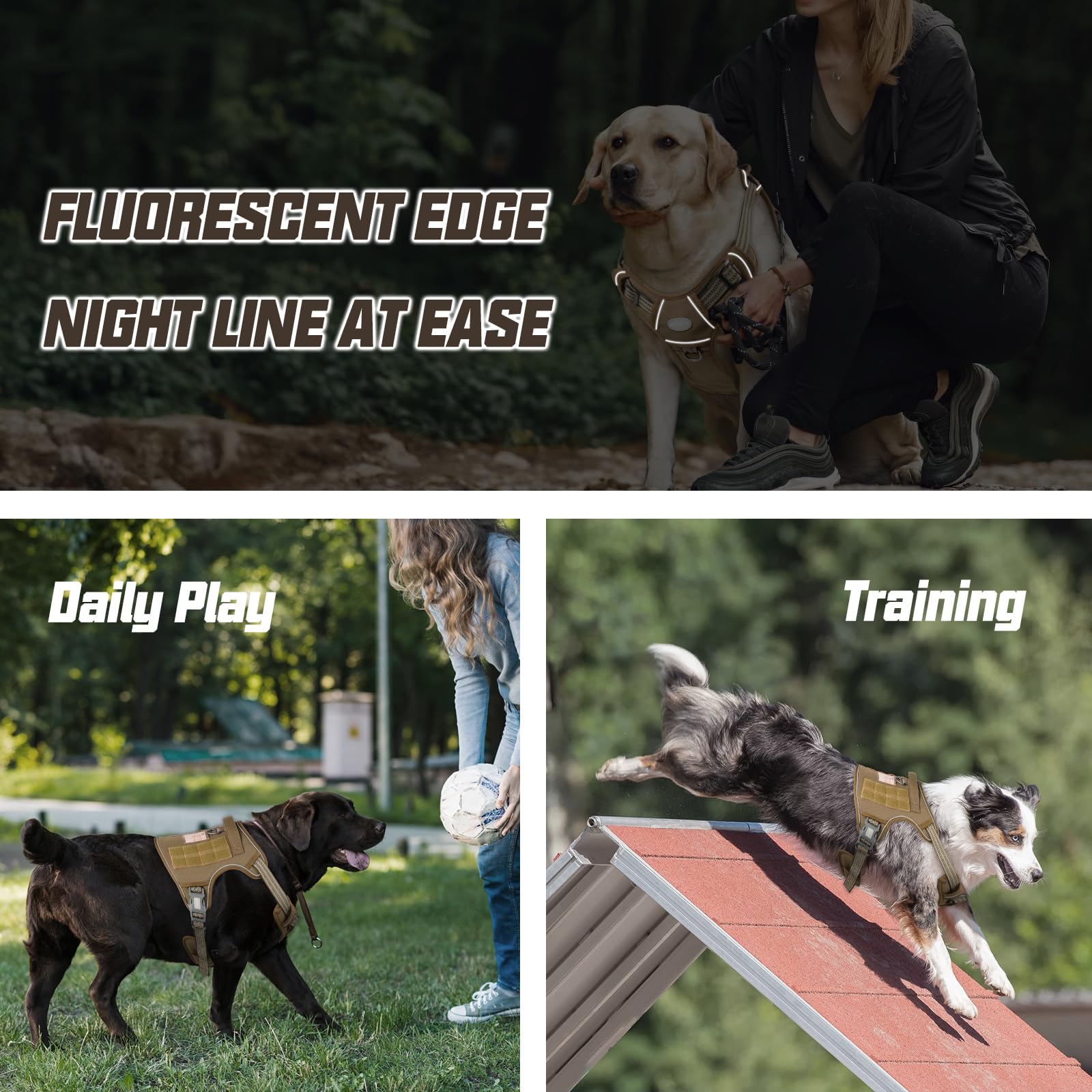 AUROTH Harnais tactique chien grande taille, système de sangles modulaires sur les côtés.