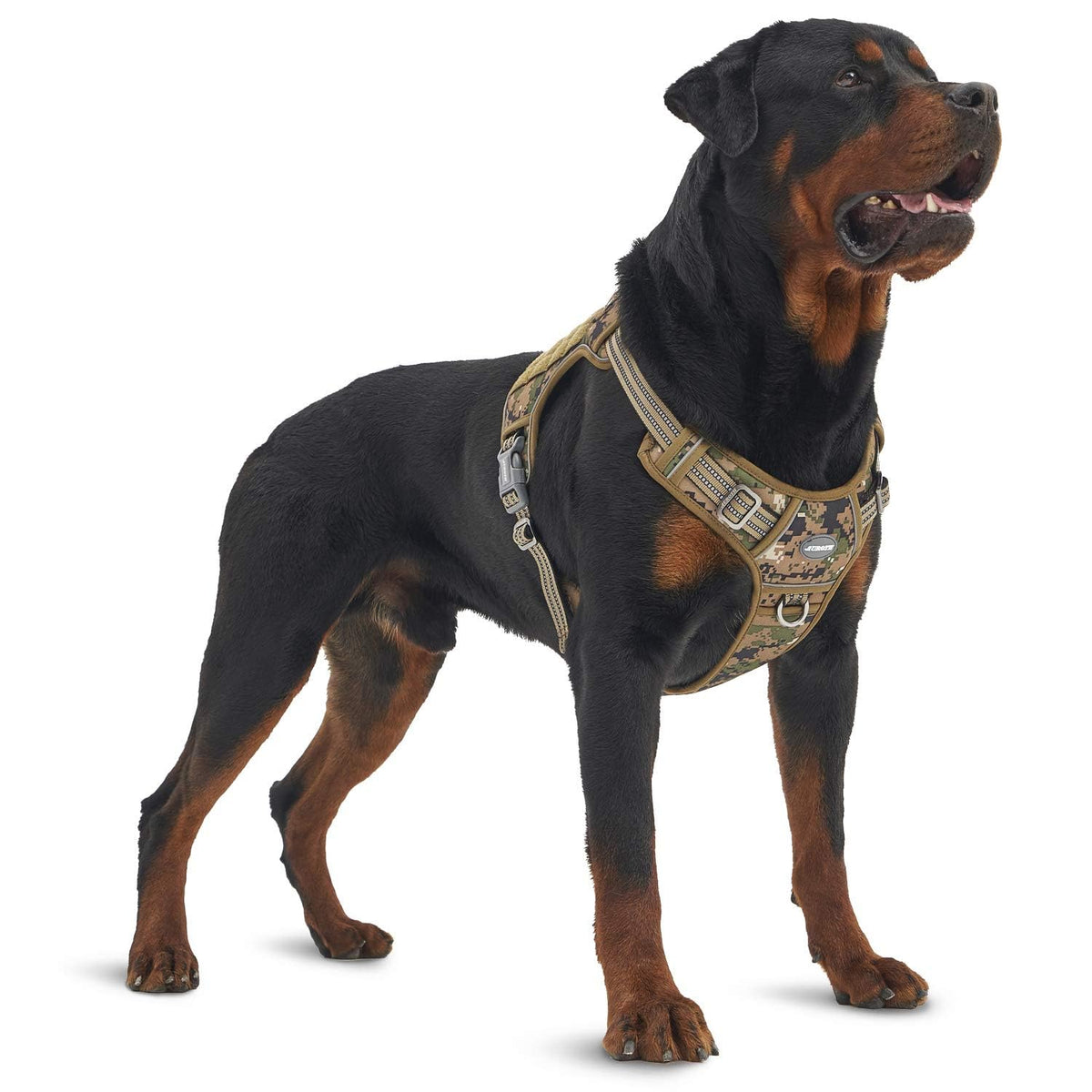 AUROTH Harnais tactique grand chien — avant, confort et mobilité optimisés.