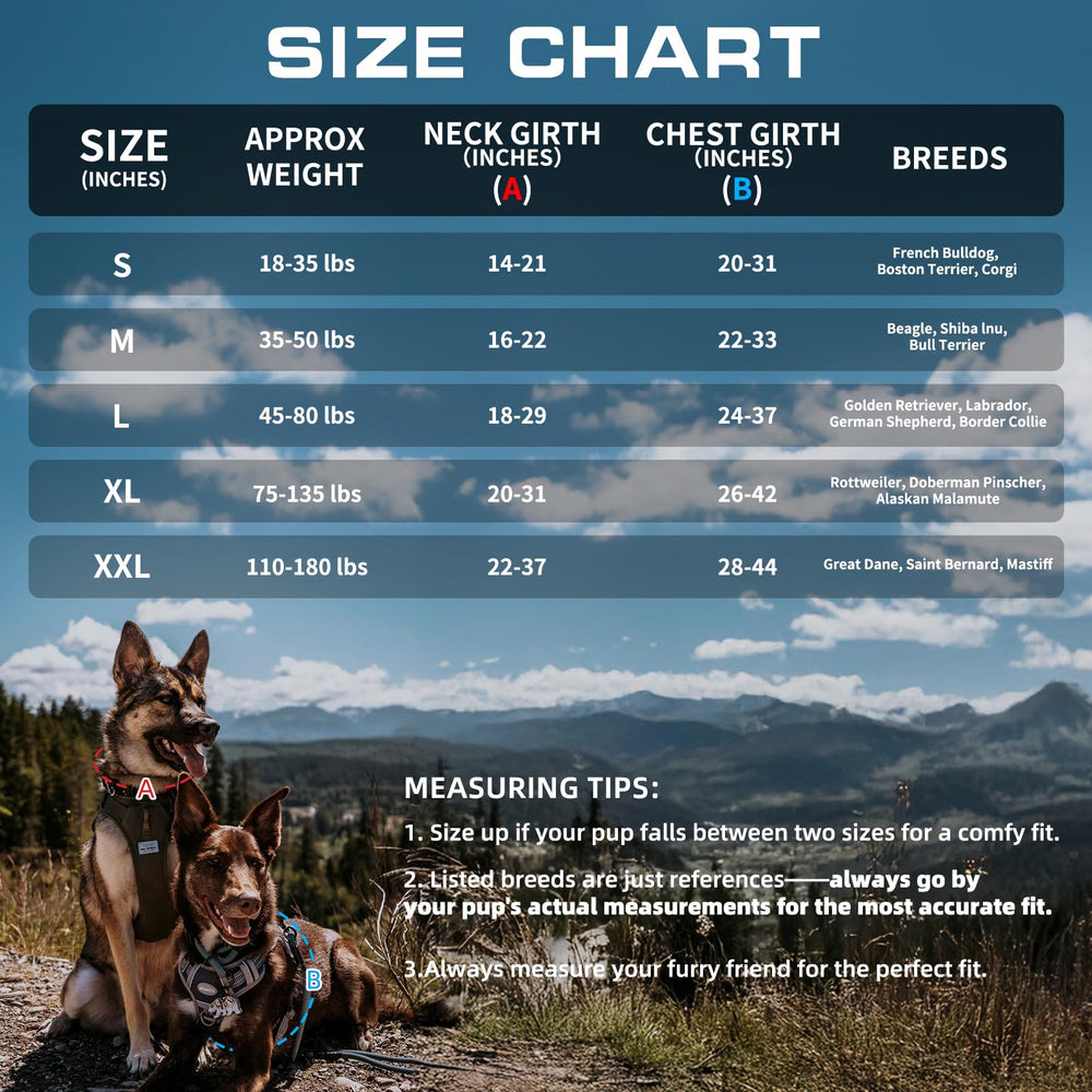Guide des tailles AUROTH pour un ajustement sûr.