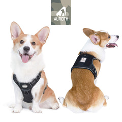 AUROTH harnais tactique avec rembourrage Air Mesh pour le confort.