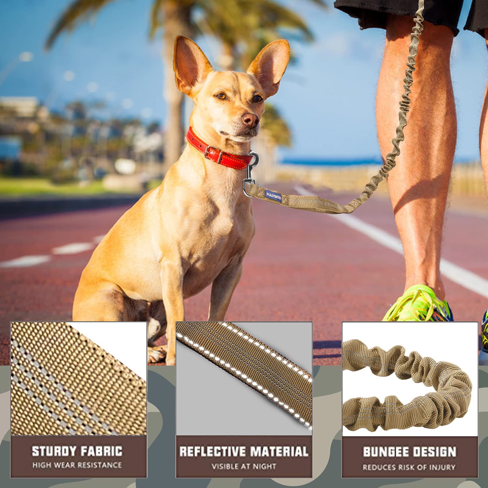 AUROTH Laisse Bungee absorption-choc avec tension progressive pour balades actives