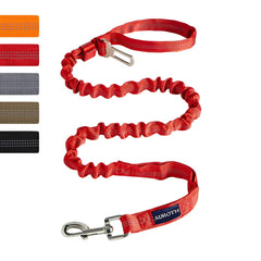 Laisse AUROTH bungee durable idéale pour chien de grande taille, stabilité et contrôle.