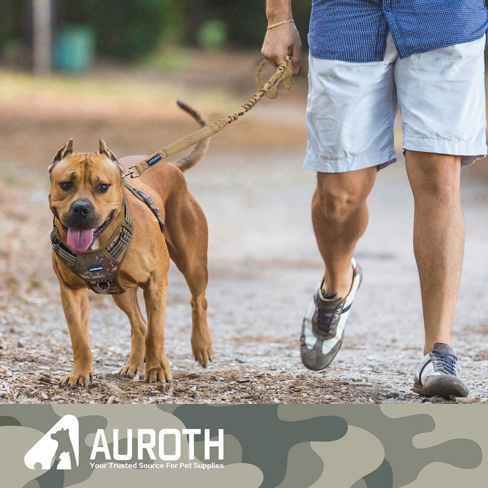 AUROTH Laisse Bungee longueurs 4-pieds et 6-pieds pour chiens de toutes tailles