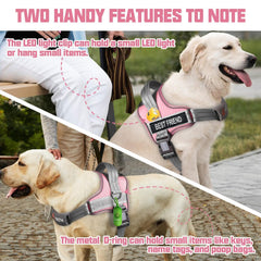 AUROTH laisse chien 5,25 pieds anti-enchevetrement pour des promenades fluides.