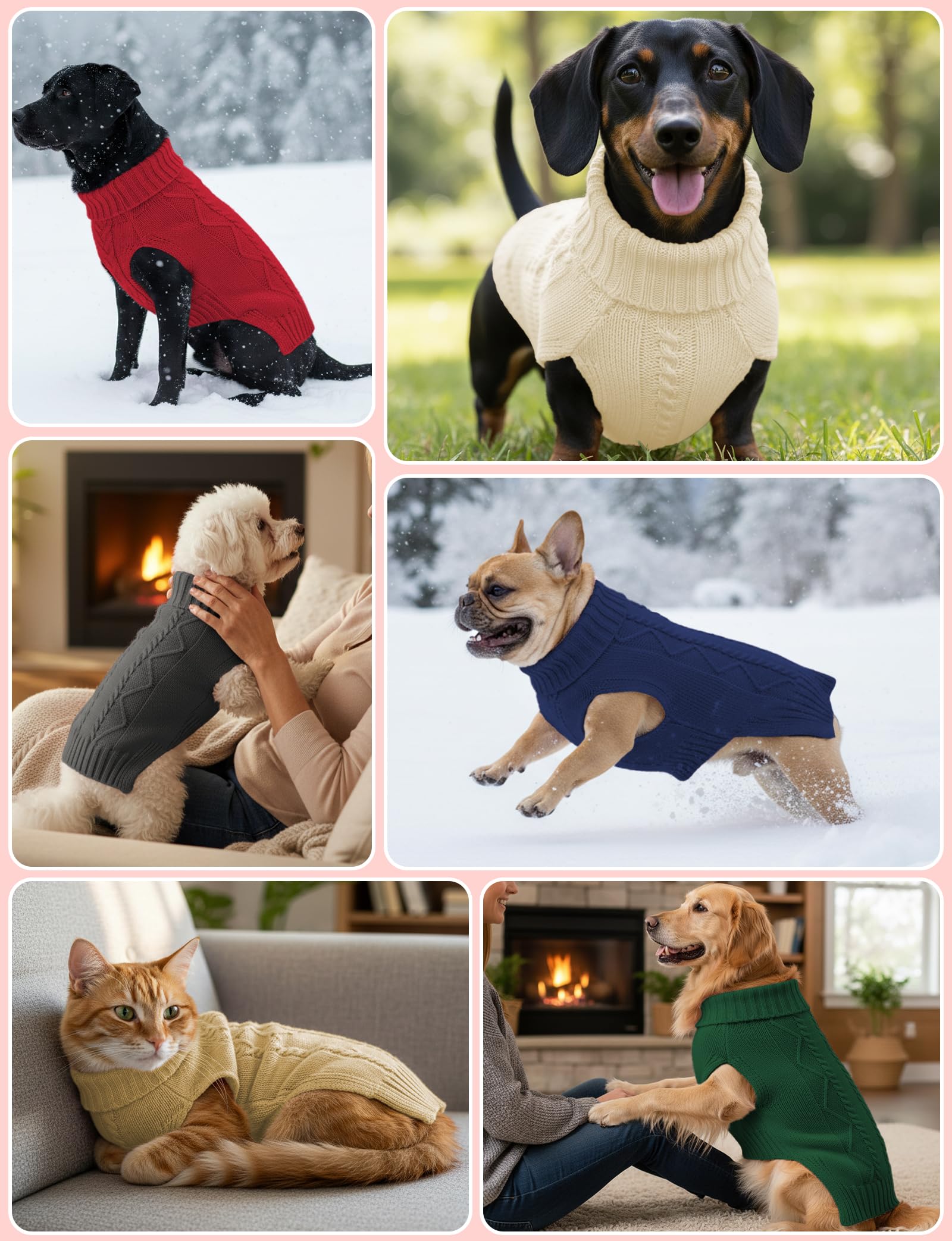 Pull AURUZA pour chien, idéal pour les photos et les fêtes grâce à son style.