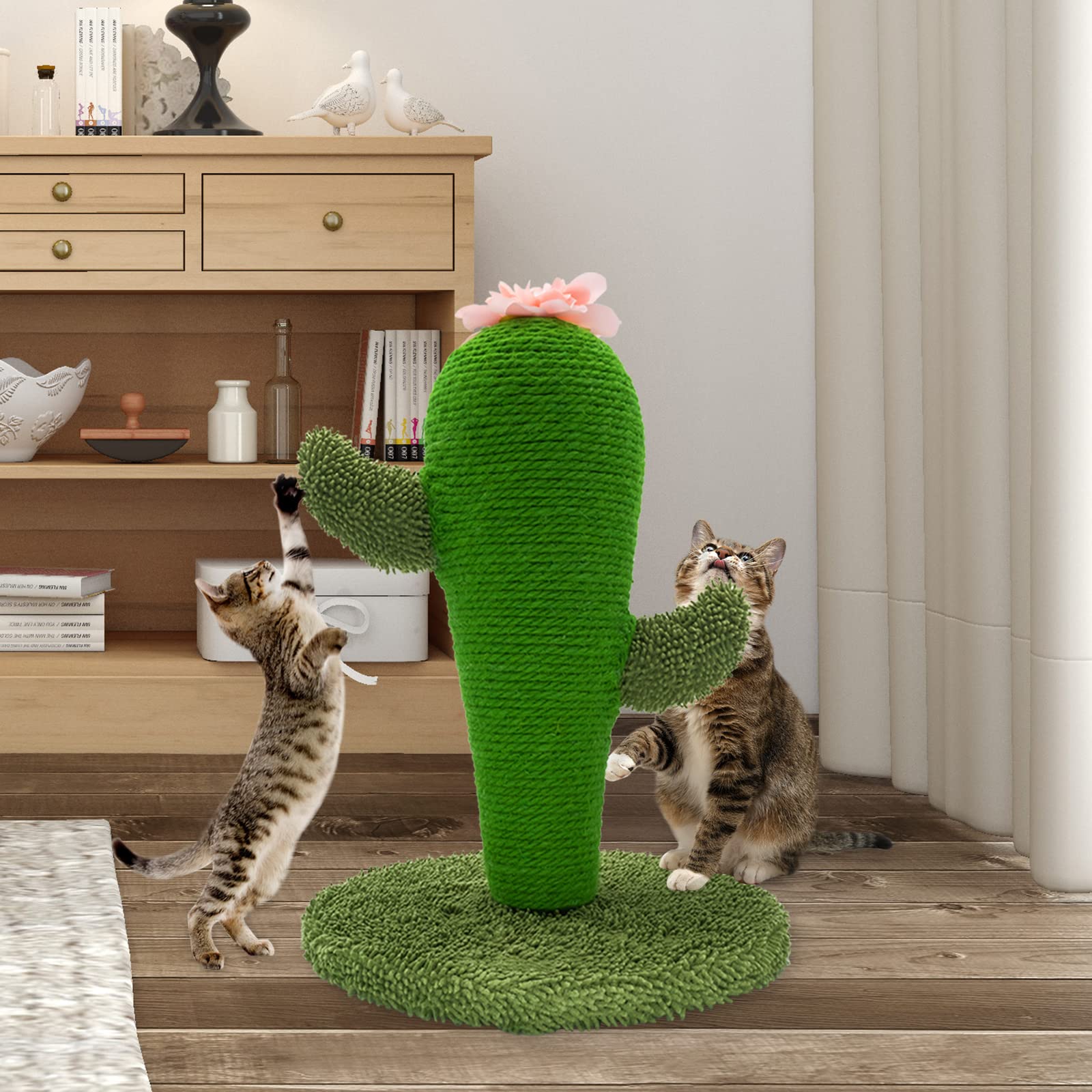 AUSCAT griffoir cactus idéal pour chats d'intérieur jusqu'à 10 livres.