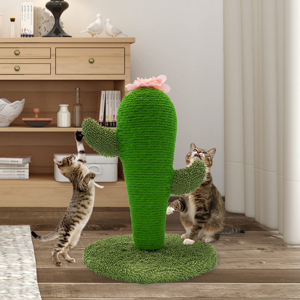 AUSCAT griffoir cactus idéal pour chats d'intérieur jusqu'à 10 livres.