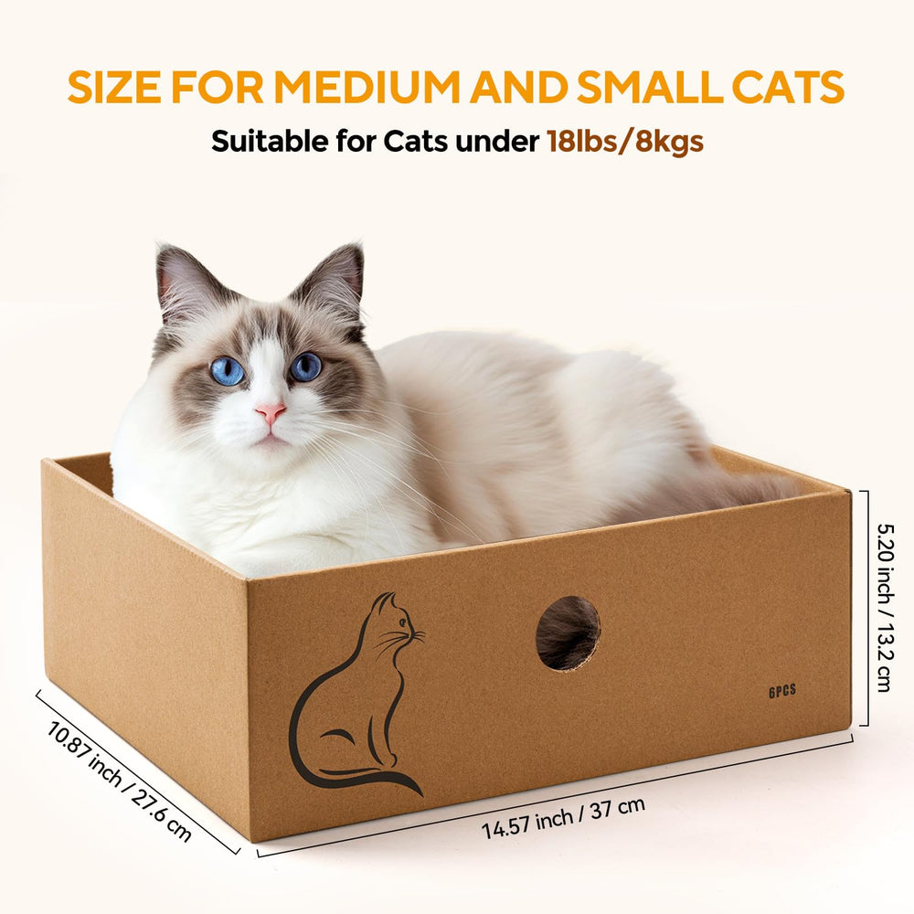 AUSCAT infusion herbe chat – attraction naturelle et jeu prolongé.