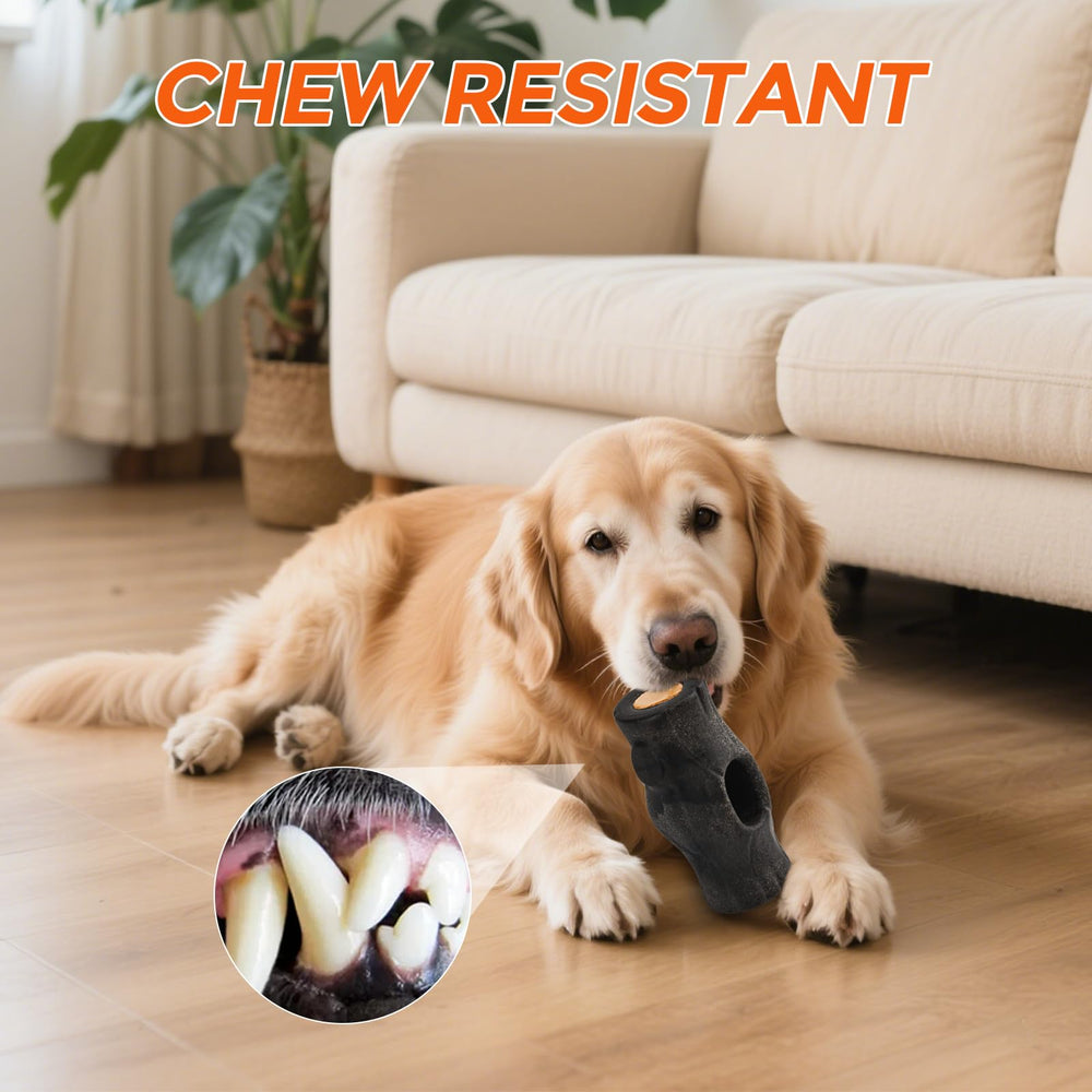 Jouet AUSCAT – design robuste pour chiens à mâchoires fortes