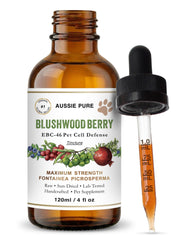 Aussie Pure Pet Therapy Blushwood Berry, bouteille 120 ml, idéal pour une administration facile.