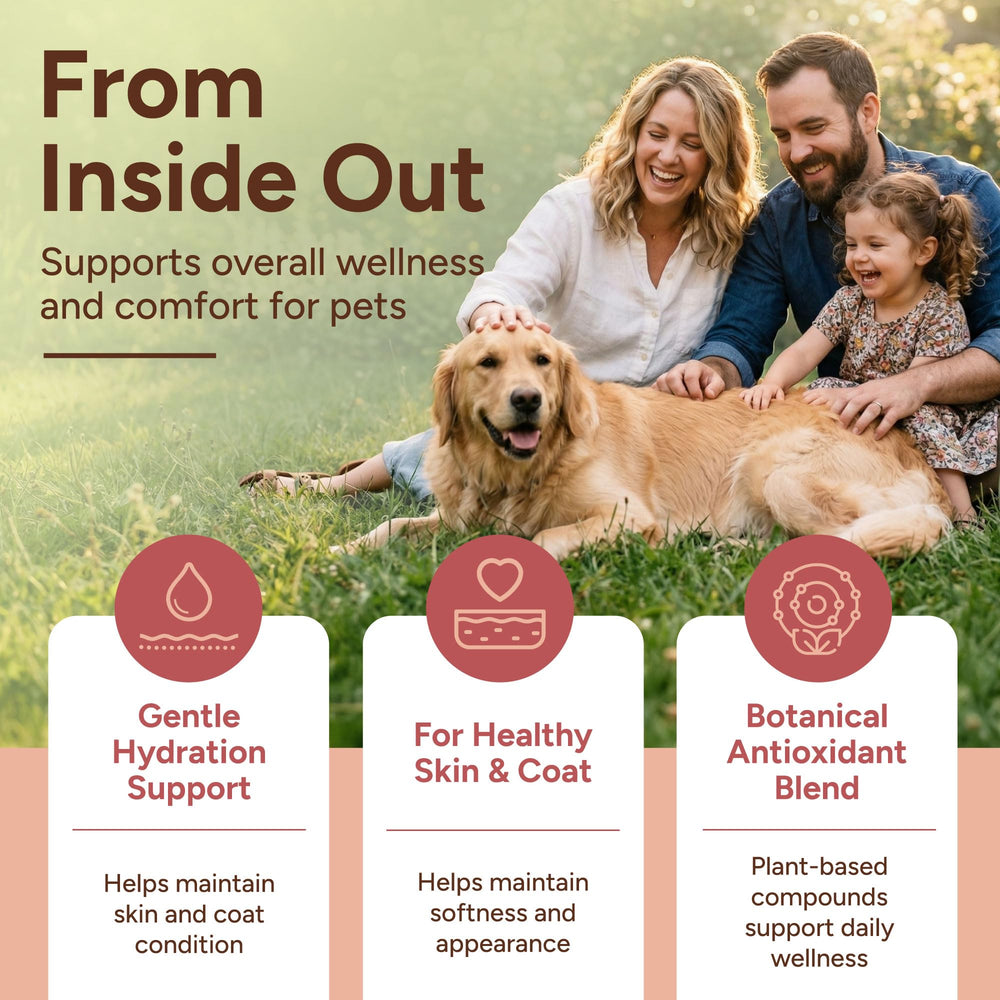 Aussie Pure Pet Therapy Blushwood Berry: administration orale avec pipette.