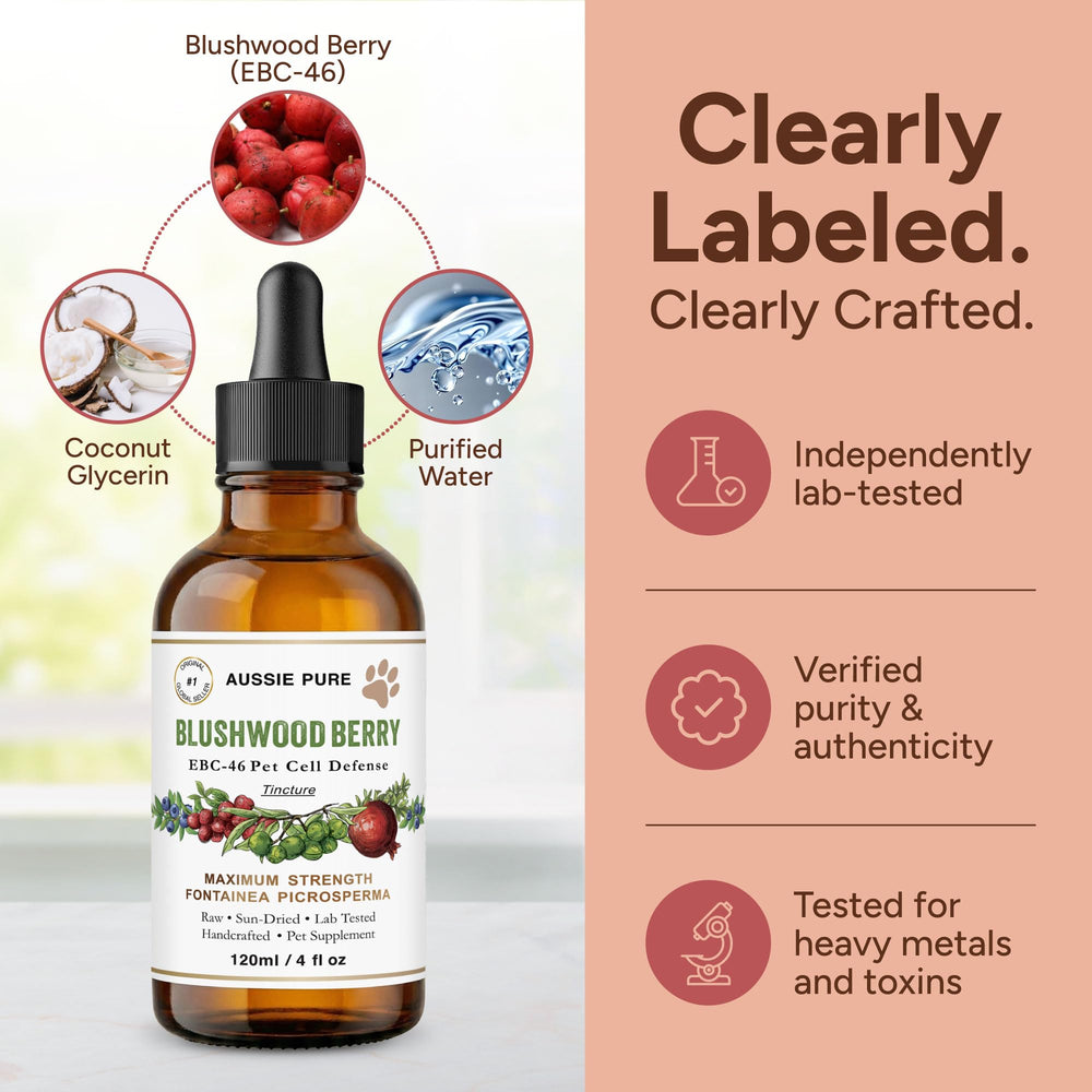 Ingrédients 100% fruits utilisant Aussie Pure Pet Therapy Blushwood Berry.