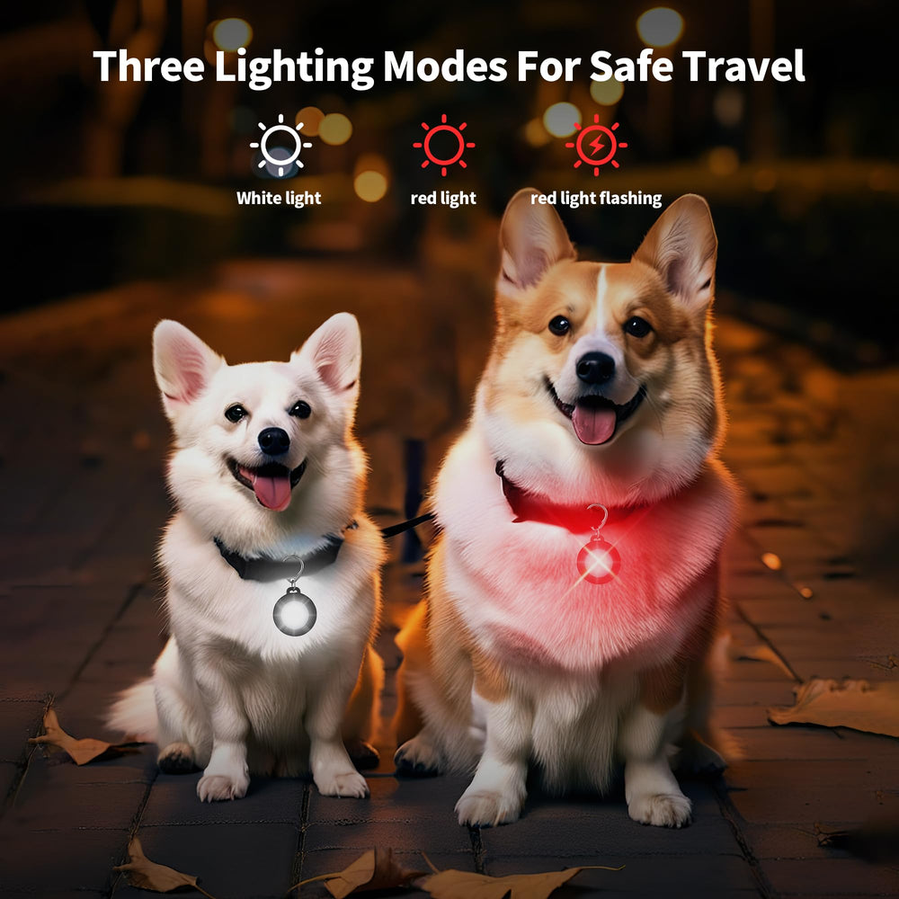 Collier chien AutoEuropa étanche IP68, prêt à affronter pluie et flaques.