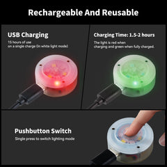 Recharge USB-C AutoEuropa, collier chien, pour des promenades sans piles.