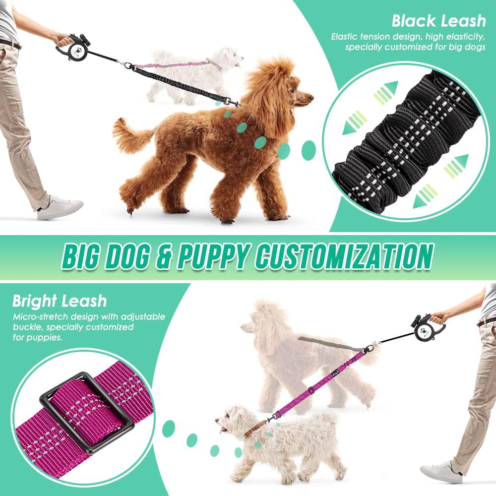 AUTOWT — attache double elastique reglable, ajustement personnalise pour chaque chien.