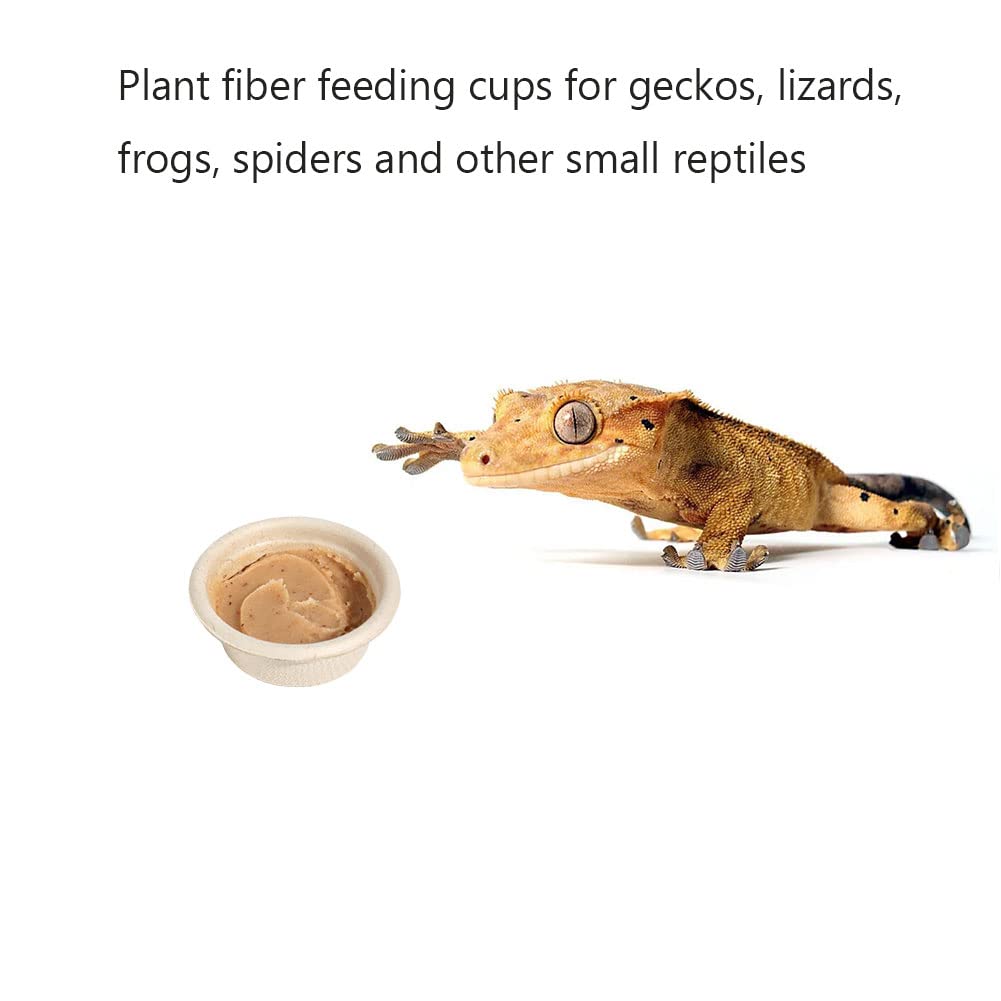AUTSEEYS rebord-alimentation-gecko-magnetique-mini, installation rapide et discrète.