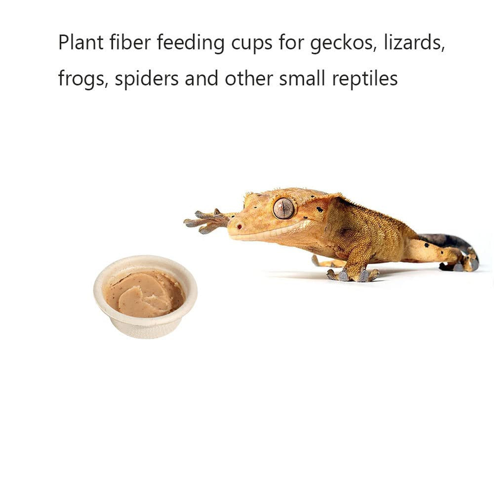 AUTSEEYS rebord-alimentation-gecko-magnetique-mini, installation rapide et discrète.